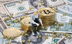 去年，泉州批准了三个国家荣誉